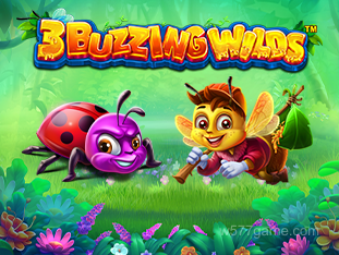3 Buzzing Wilds